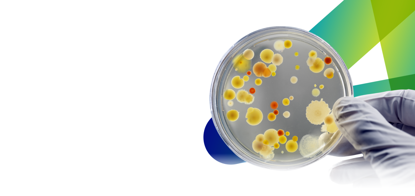 MIC and MBC Microbiology Antibiotic Susceptibility Test Services