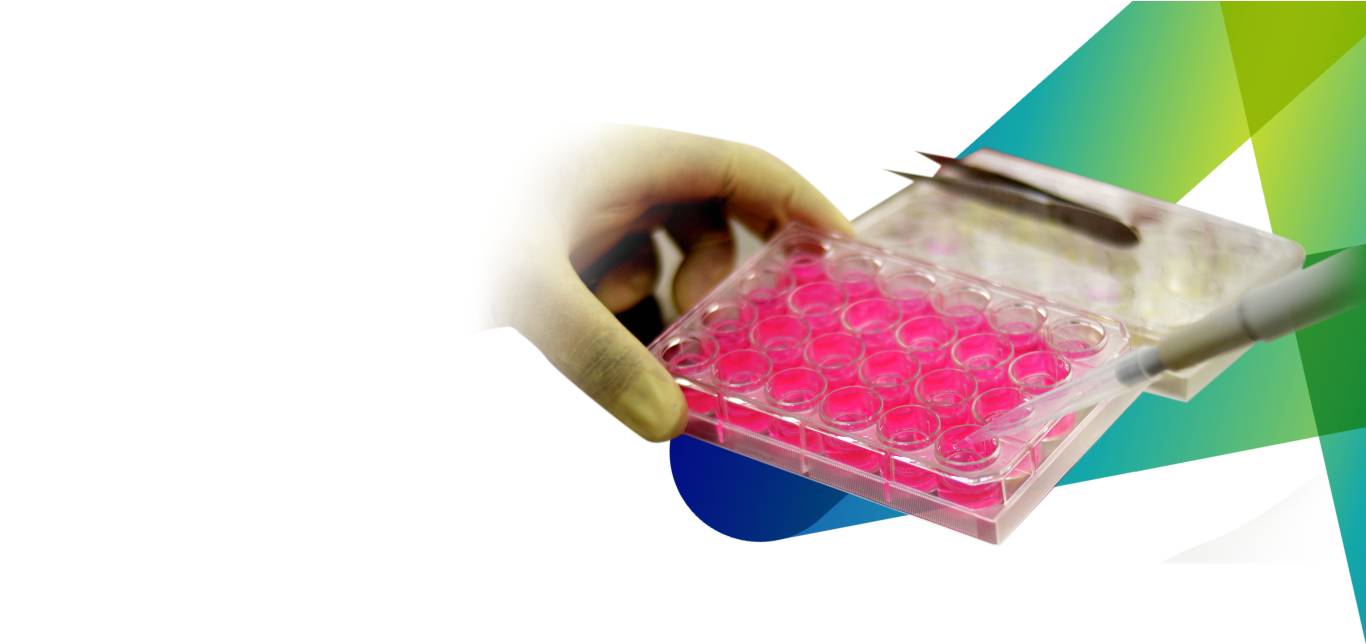 CACO2 Permeability Assay Services Protocol CDMO Company CRO