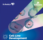 Cell Line Development