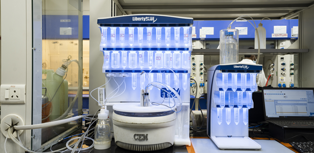 Custom Peptide Synthesis Services