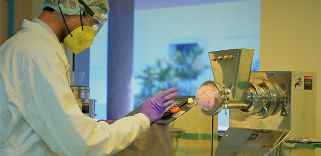 Early Phase Formulation Development Services