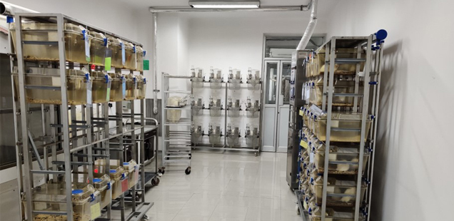 Safety Pharmacology Studies and Services