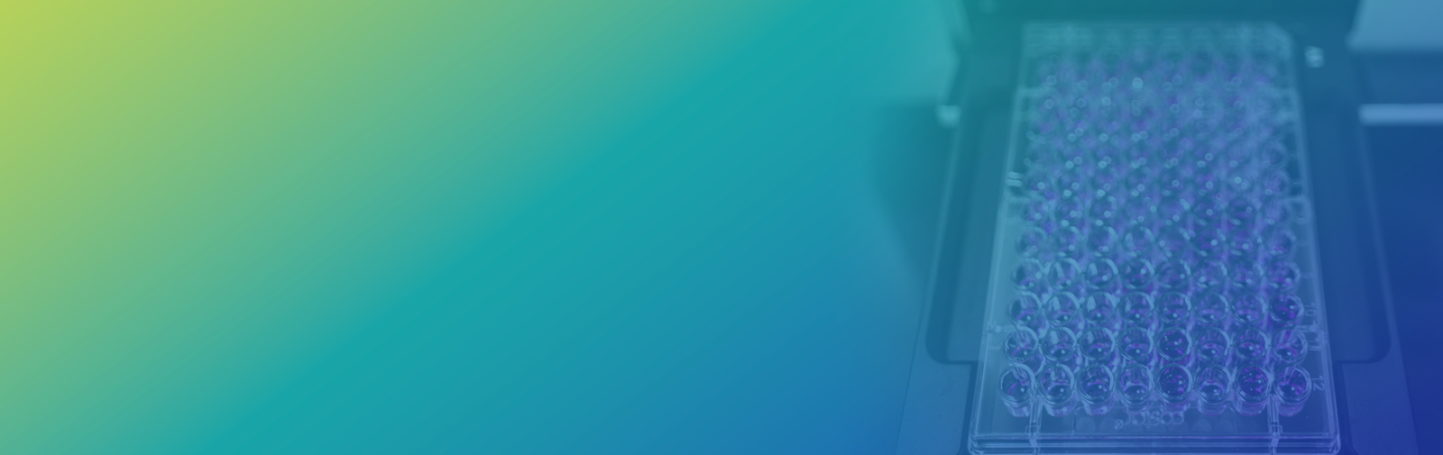 Monoclonal Antibody (mAb) Discovery Services