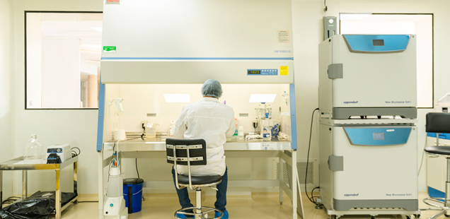 Cell Line Engineering Services