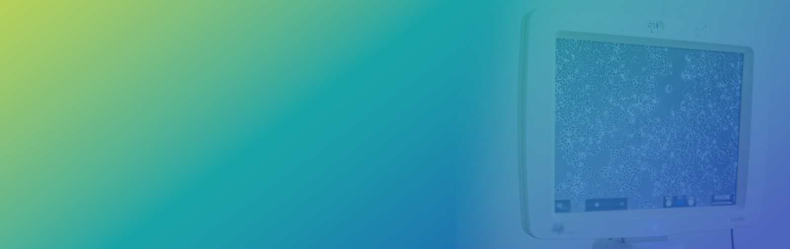 Cell Therapy Services