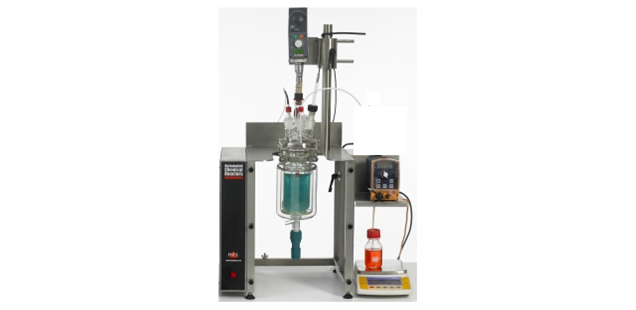 Crystallization and Polymorphism Development Services