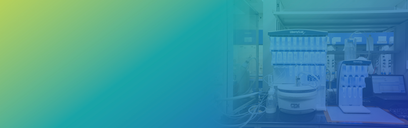 Custom Peptide Synthesis Services