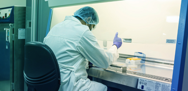 Discovery Biology Services