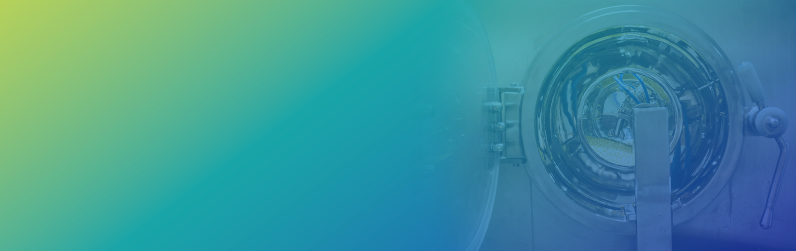 Integrated Drug Substance and Drug Product (DS-DP) Services
