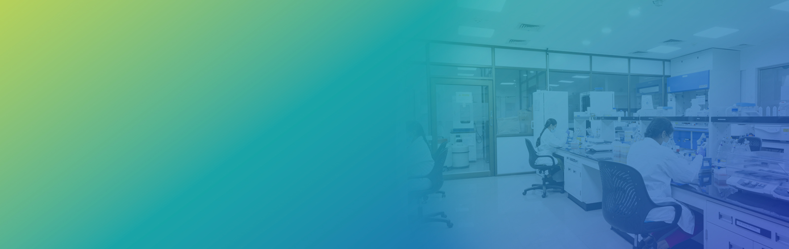 Integrated Drug Discovery Services