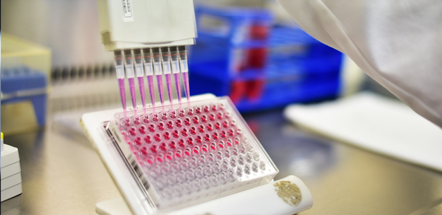 In vitro ADME Services