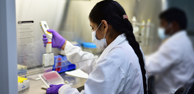 In vitro Genotoxicity Testing Services