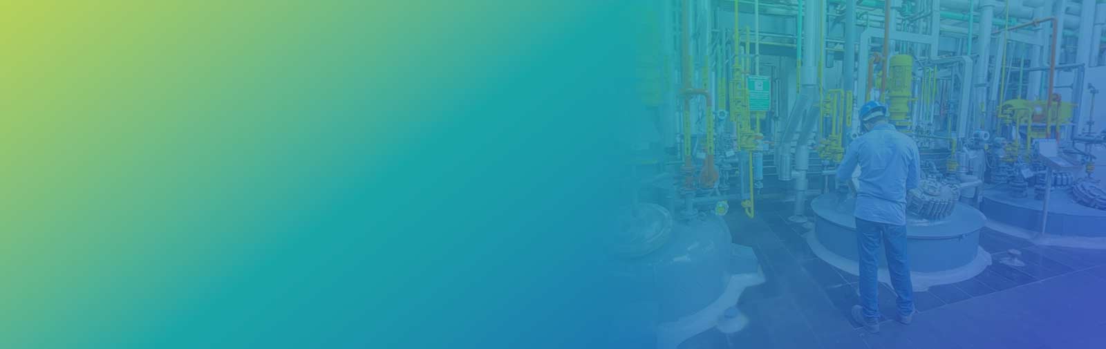 Small Molecules Manufacturing Services