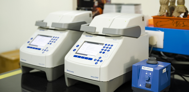 Molecular Biology Services