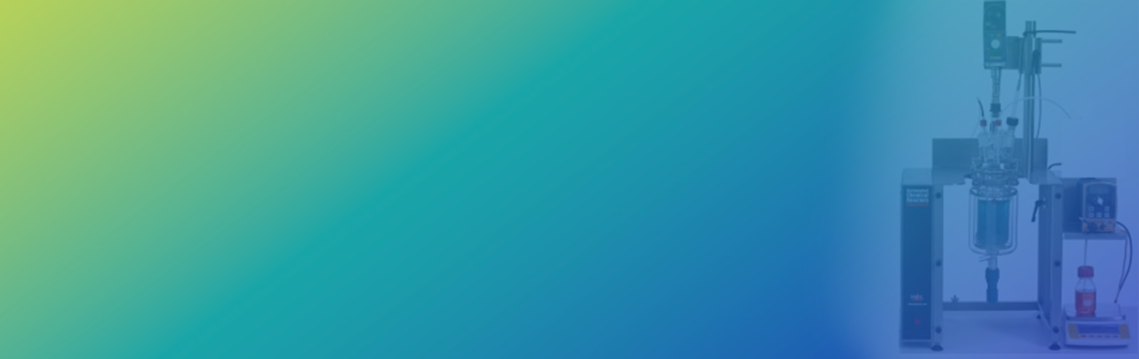 Crystallization and Polymorphism Development Services