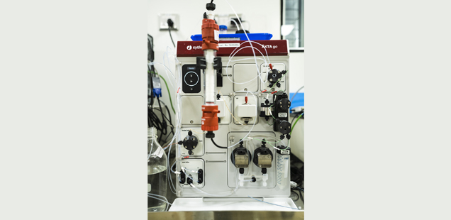 Protein Sciences and Structural Biology Services