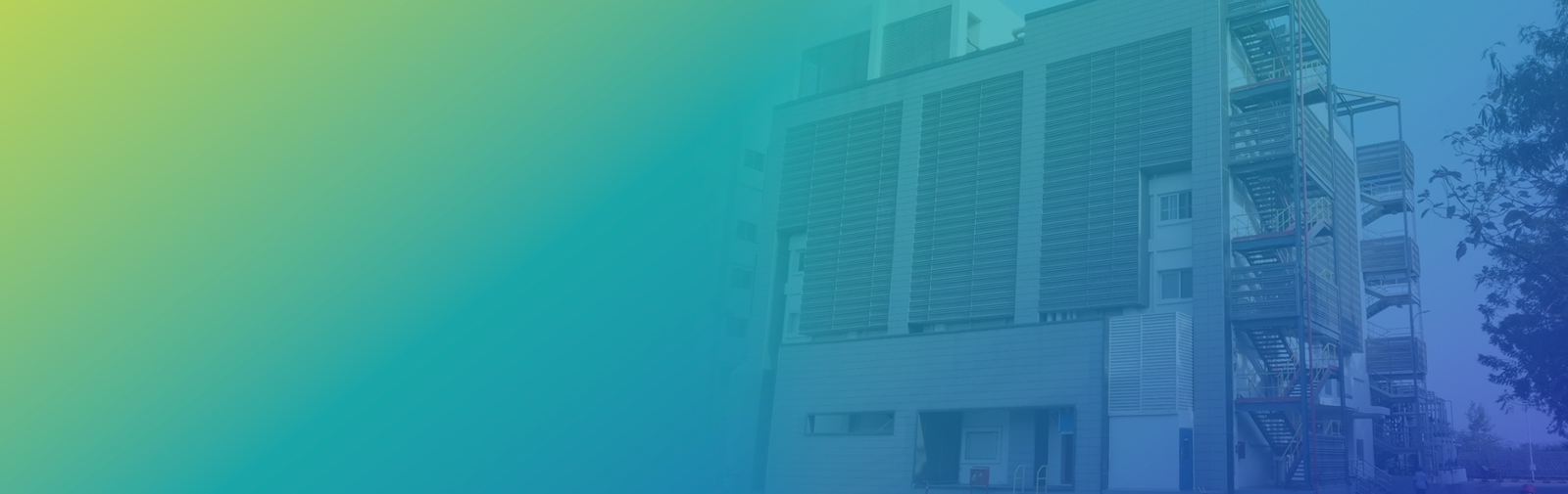 Pharma API Manufacturing Sites & Capabilities
