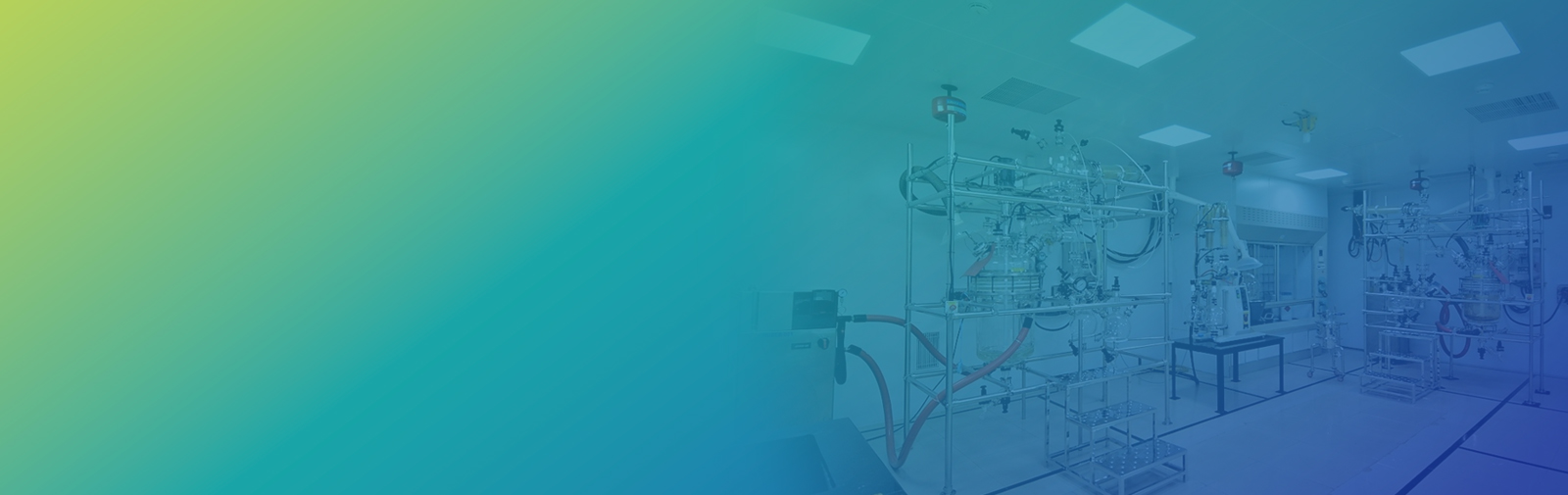 Small Molecules Development Services
