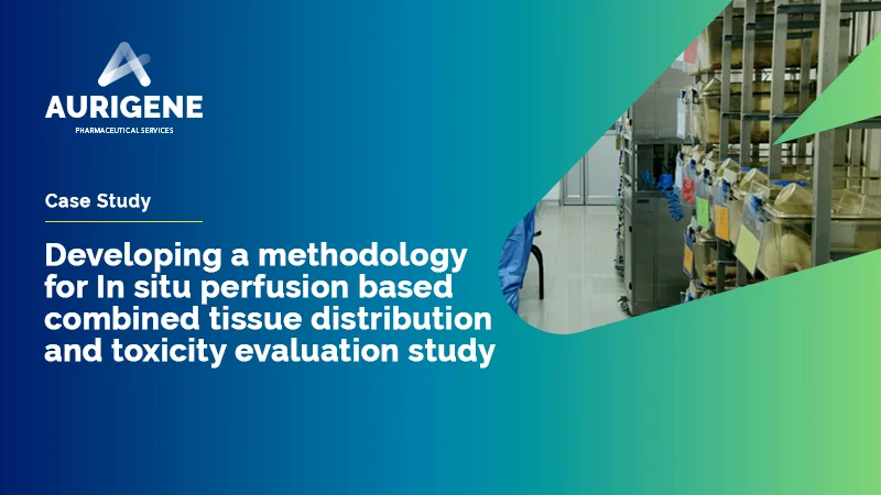 Combined tissue distribution and toxicity evaluation study