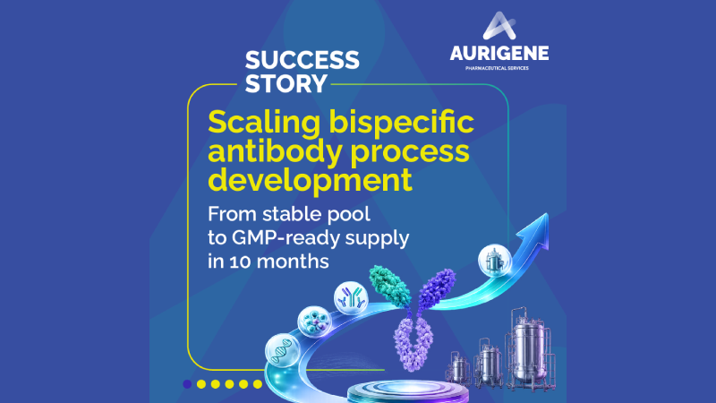 Bispecific Process Development Stable
