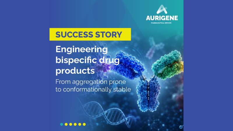 Bispecific DP Development Stability