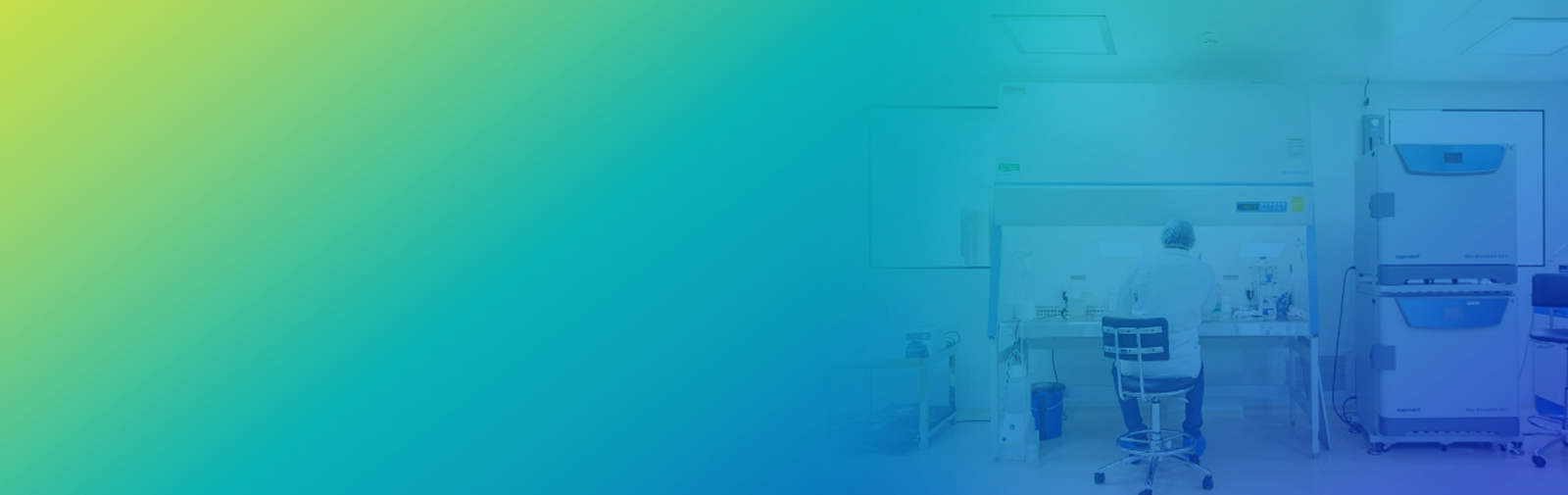 Cell Line Engineering Services