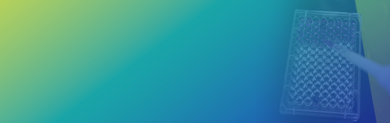 In vitro Genotoxicity Testing Services