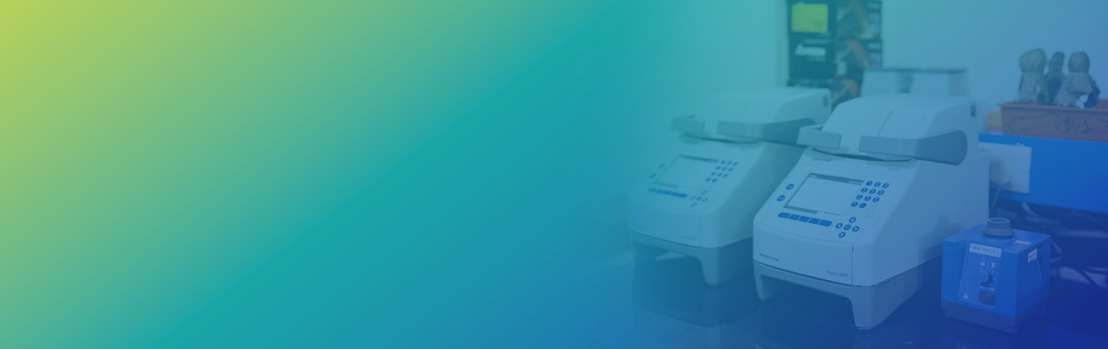 Molecular Biology Services