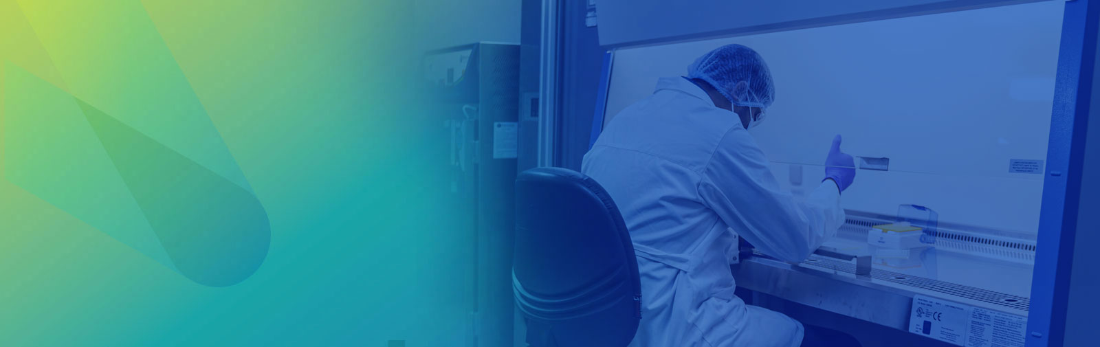 Discovery Biology Services