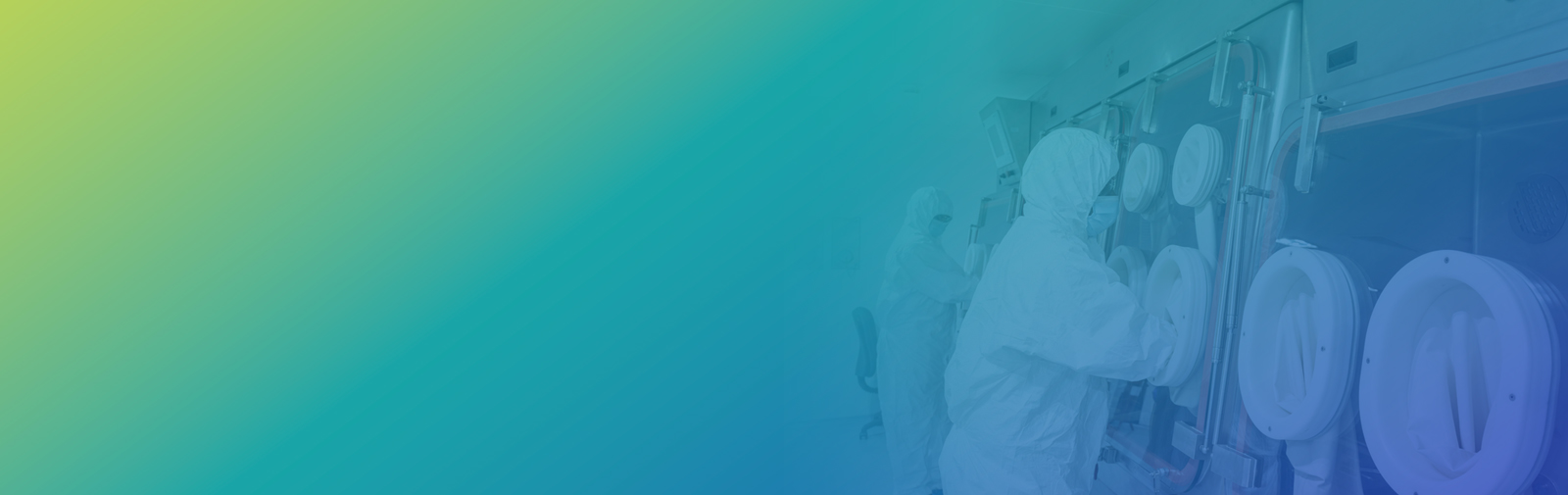 High Potent API Development Services