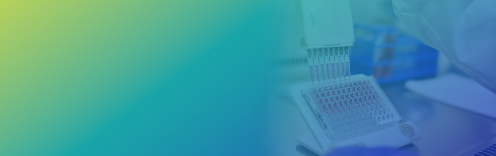 In vitro ADME Services