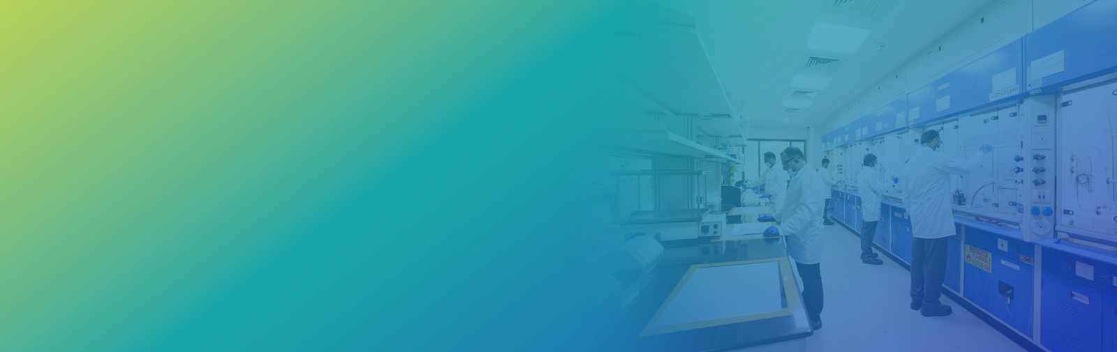 Process Development and Validation Development Services
