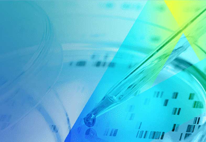 Discovery Biology Services LP