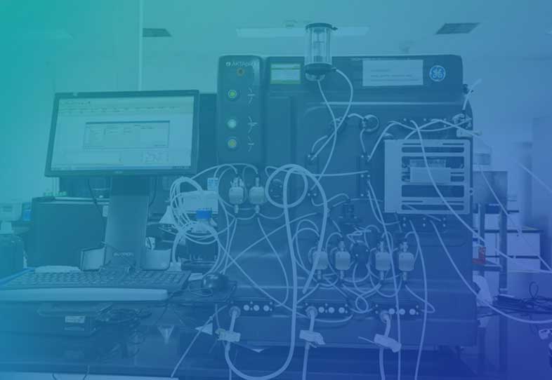 API Development Infrastructure