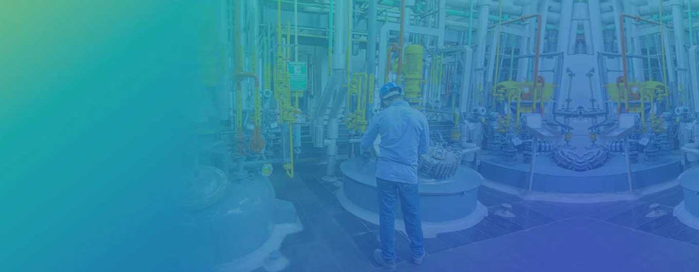Manufacturing Services LP2 success page