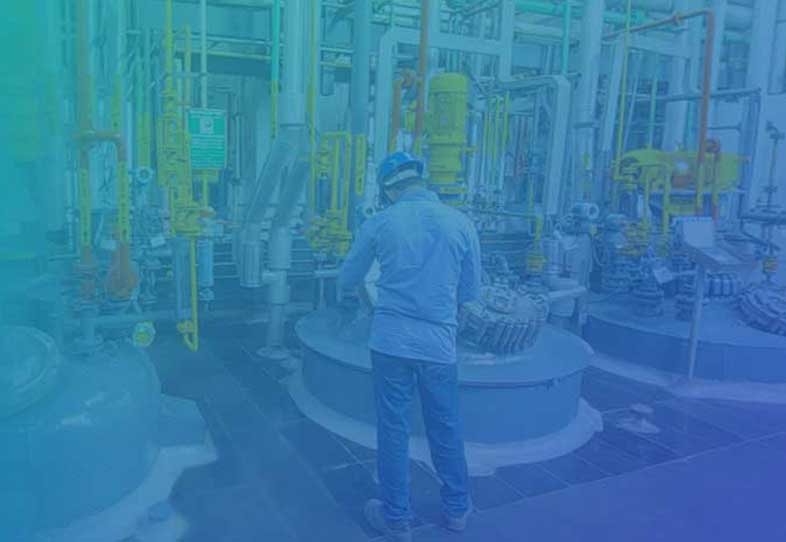 Manufacturing Services LP2 success page