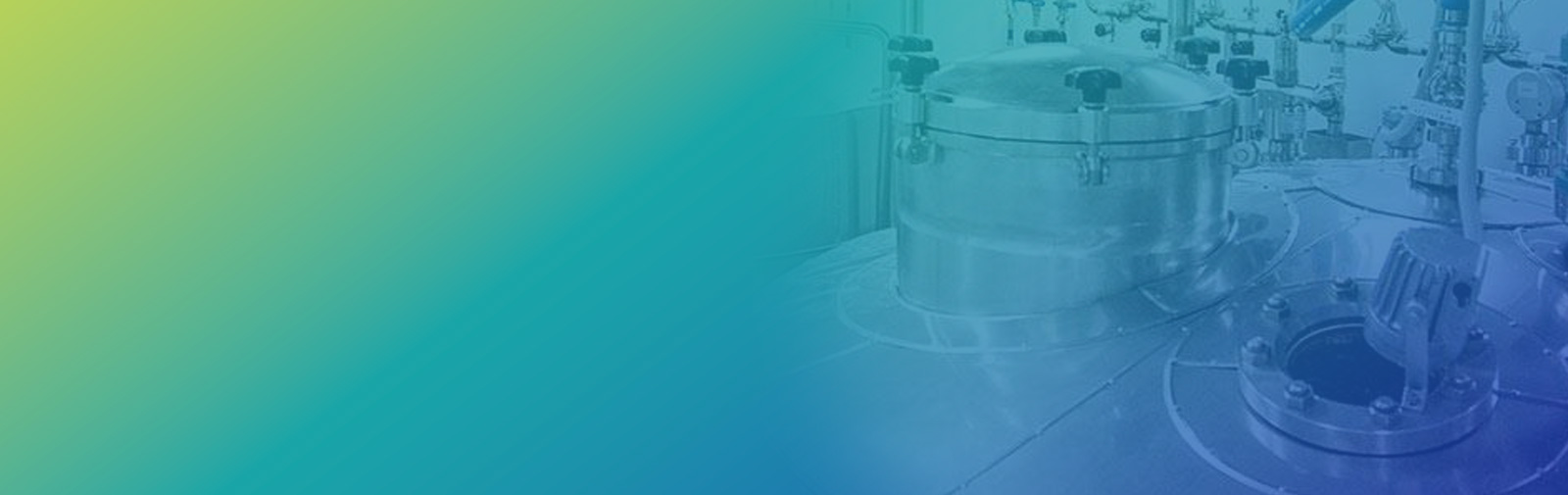 CDMO/CRO Services