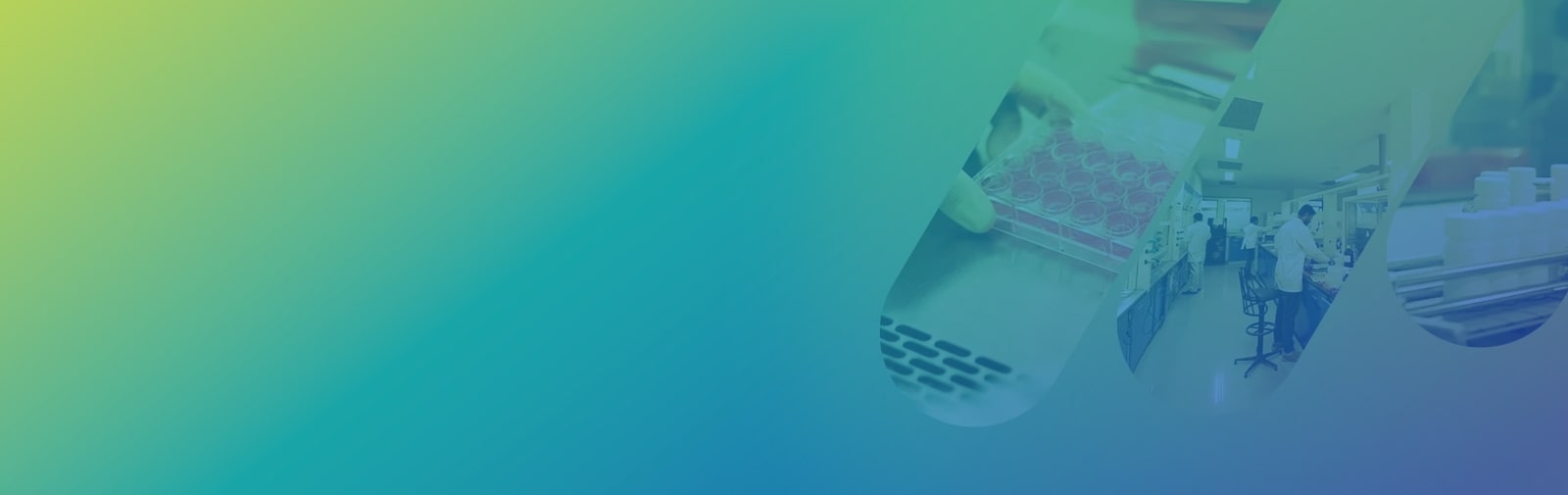 desktopbanner