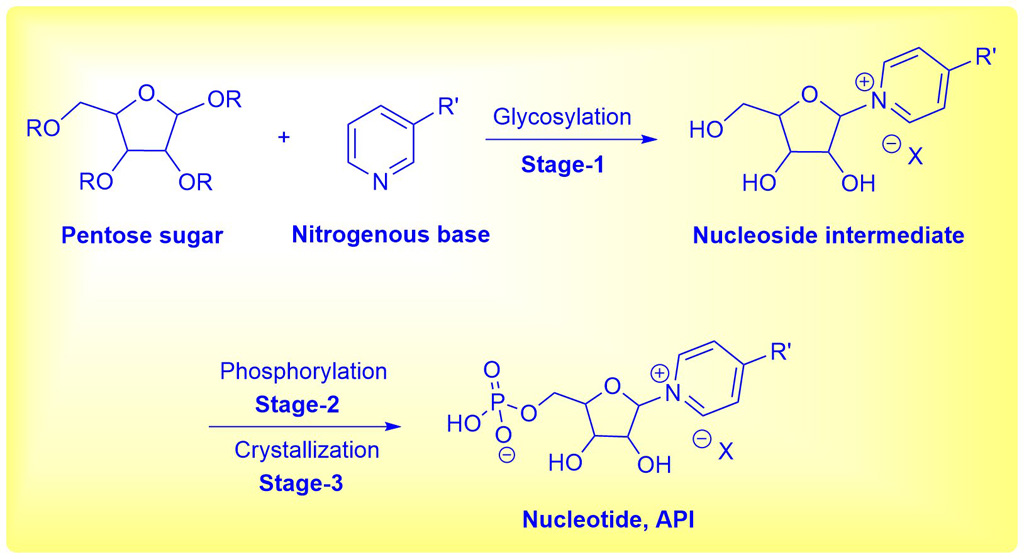 Bioactive