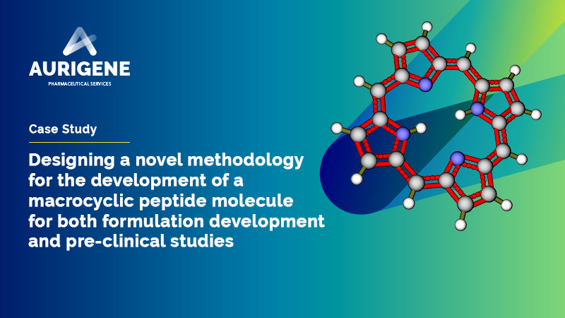 Development of a macrocyclic peptide molecule