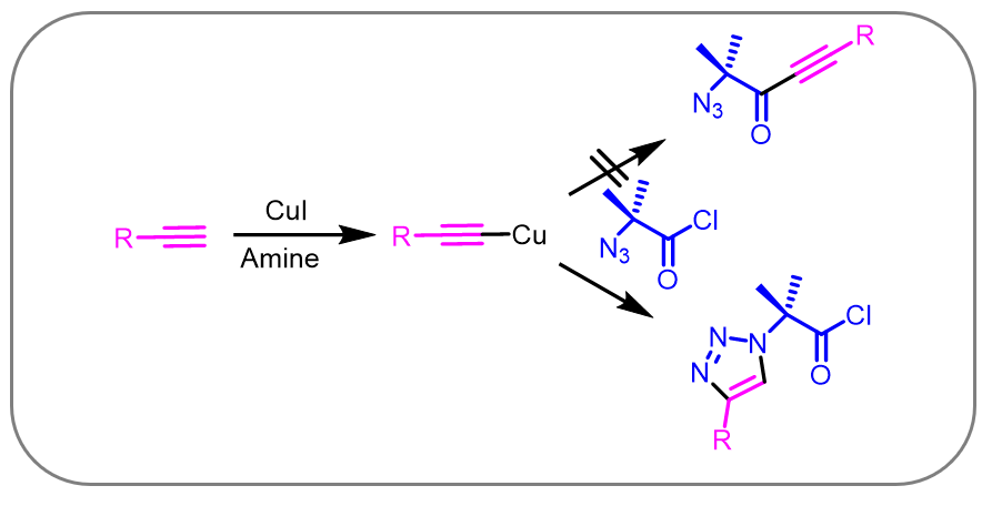 Cu-activated terminal alkyne and chemo-selectivity