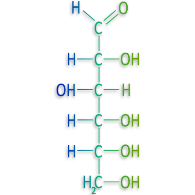 Custom carbohydrate synthesis