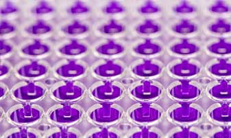 In vitro Biology
