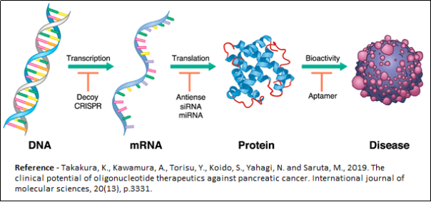 The Clinical Potential Of Oligonucleotide therapeutics against pancreatic cancer