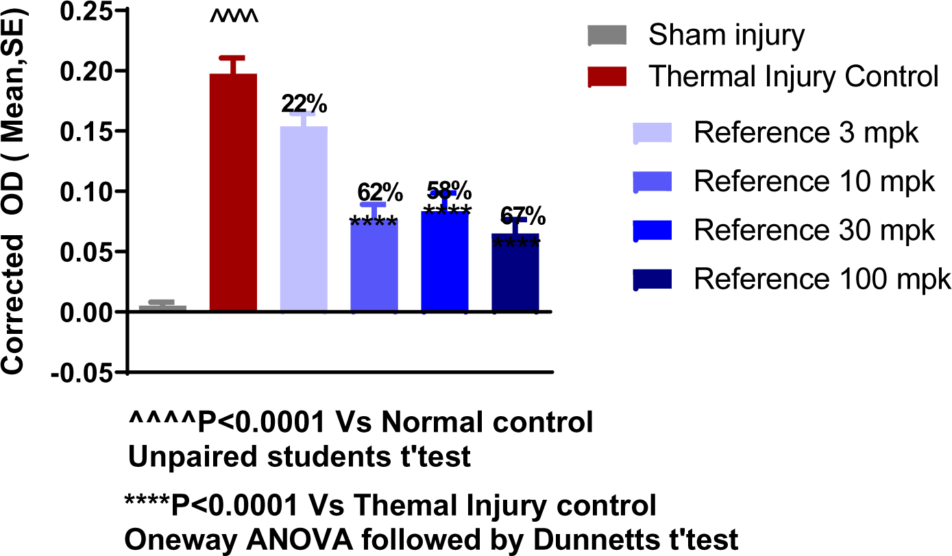 Evaluation Process Visualization