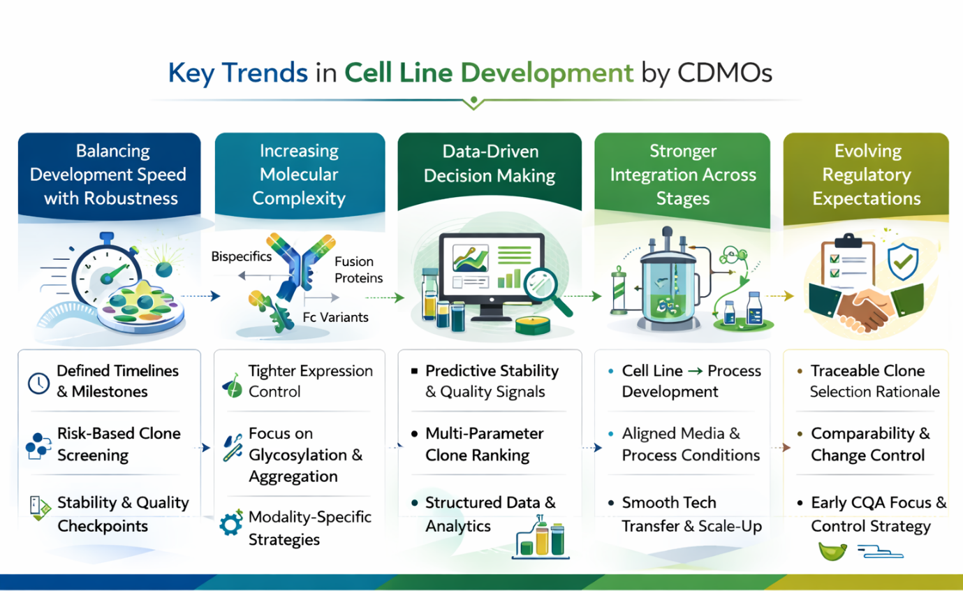 Key Trends in Cell Line Development