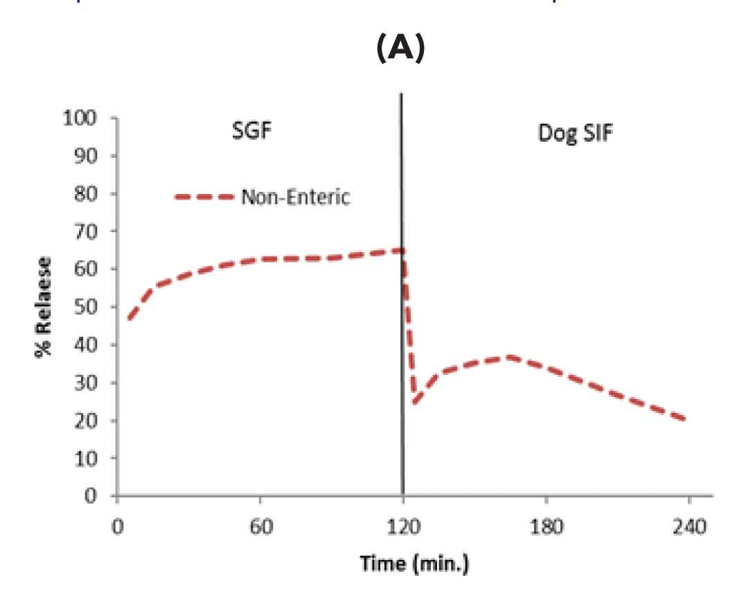 Conventional suspension in dog resulted in low oral bioavailability