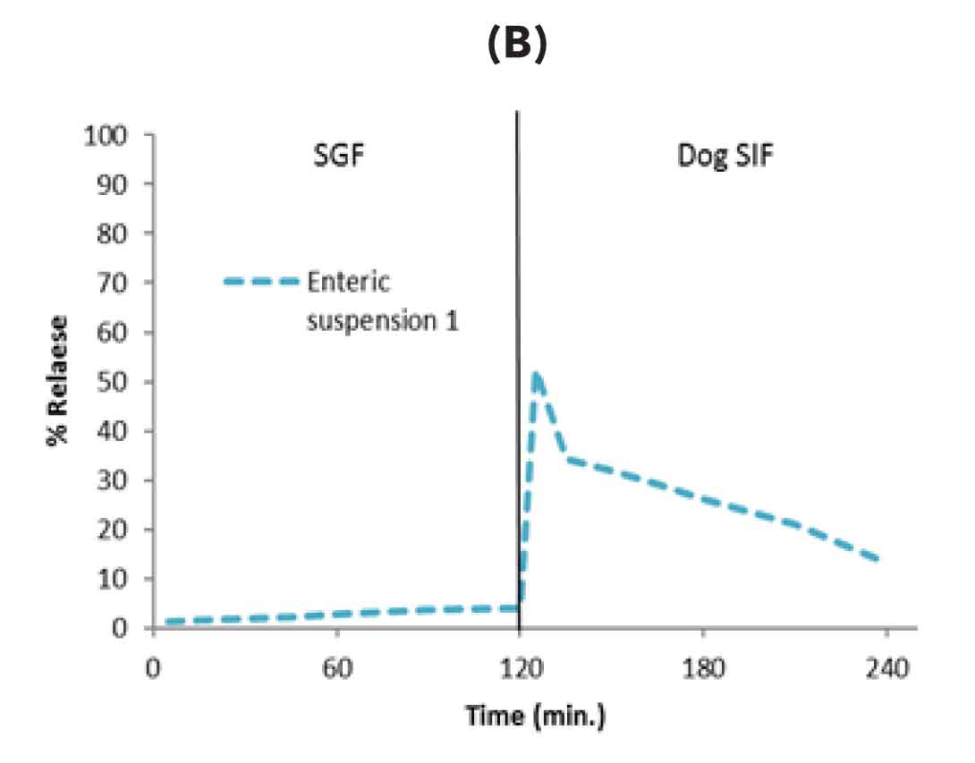 Enhanced oral bioavailability in dogs