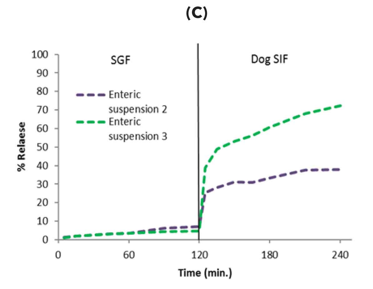 Optimization of enteric solid dispersion