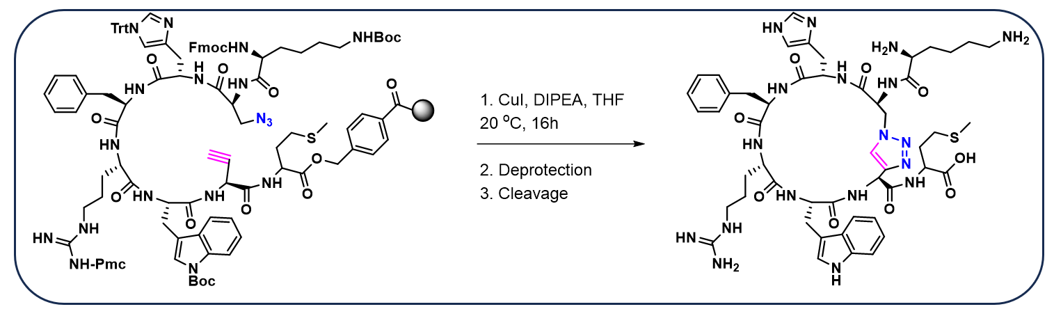 Solid supported Click Macrocyclization (via CuAAC) reaction for the synthesis of peptide agonist